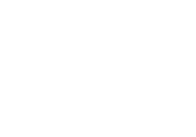 Icon 18 plus